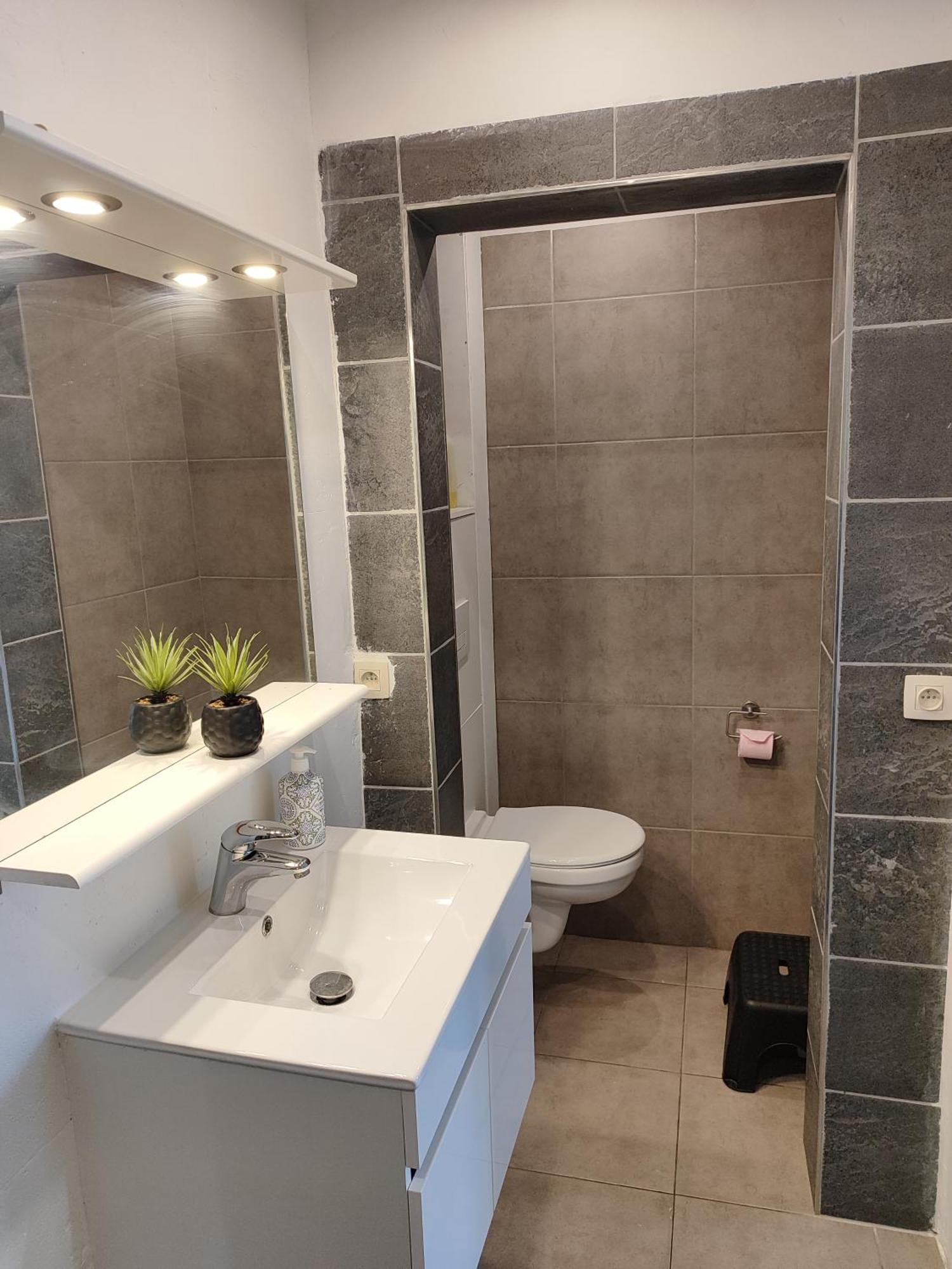 Appartement Spacieux Avec Parking Et Terrasse เดอปาน ภายนอก รูปภาพ